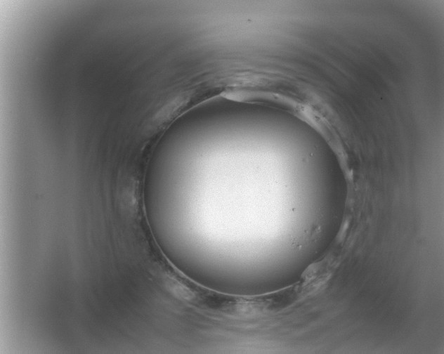 X0000067480305200604150023