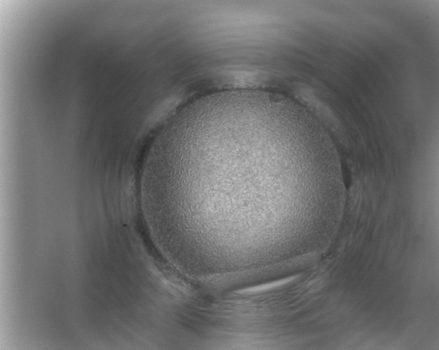 X0000067480306200604150023