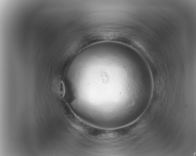 X0000067480307200604150023