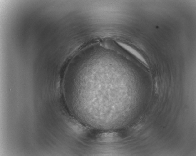 X0000067480314200604150023