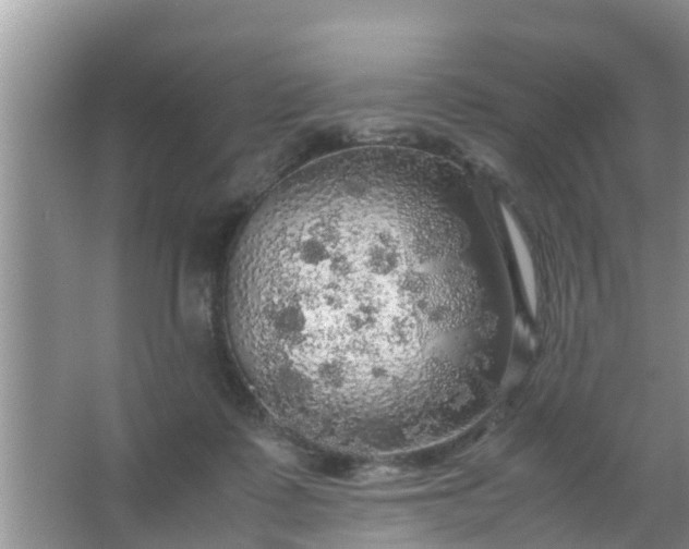 X0000067480315200604150023