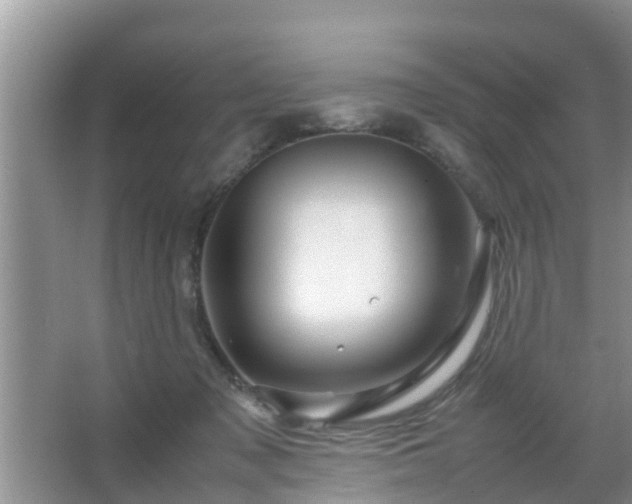 X0000067480317200604150023