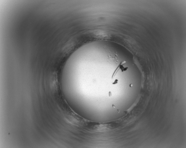 X0000067480320200604150023