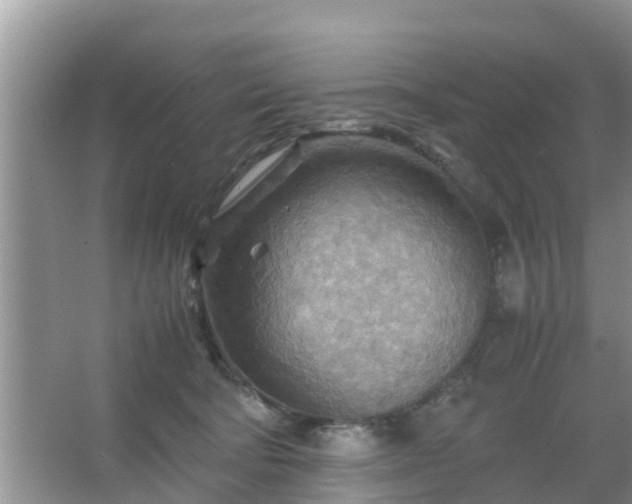 X0000067480322200604150023