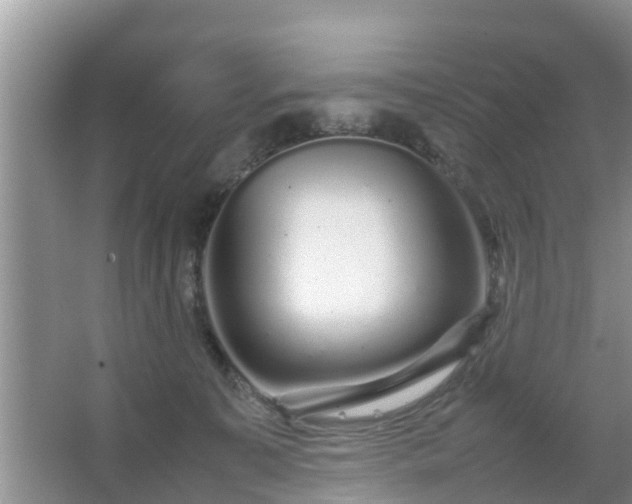 X0000067480323200604150023