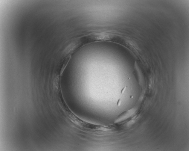 X0000067480325200604150023