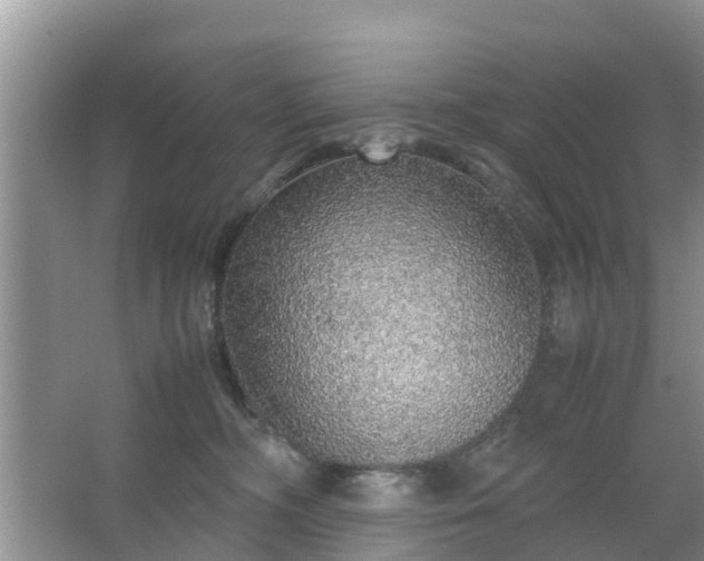 X0000067480326200604150023