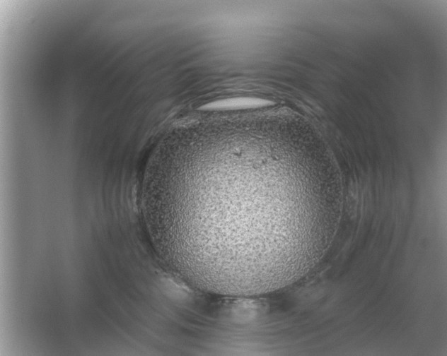 X0000067480330200604150022