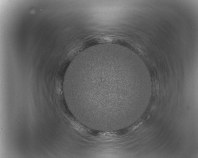 X0000067480331200604150022