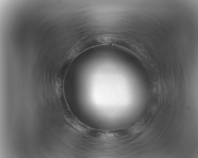 X0000067480332200604150022