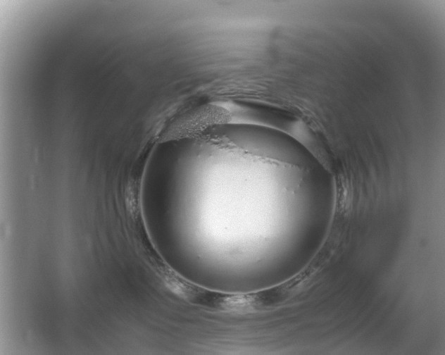 X0000067480335200604150022