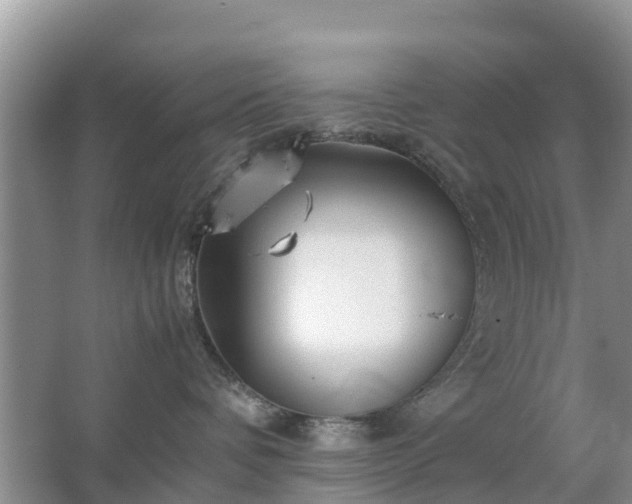 X0000067480336200604150022