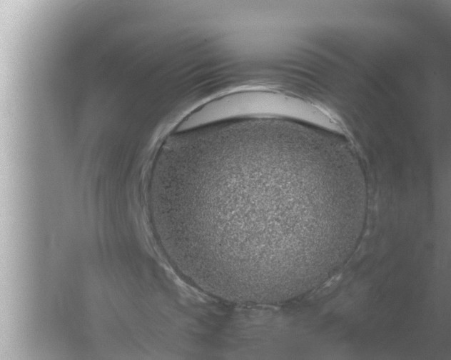 X0000067480337200604150022