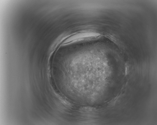 X0000067480339200604150022