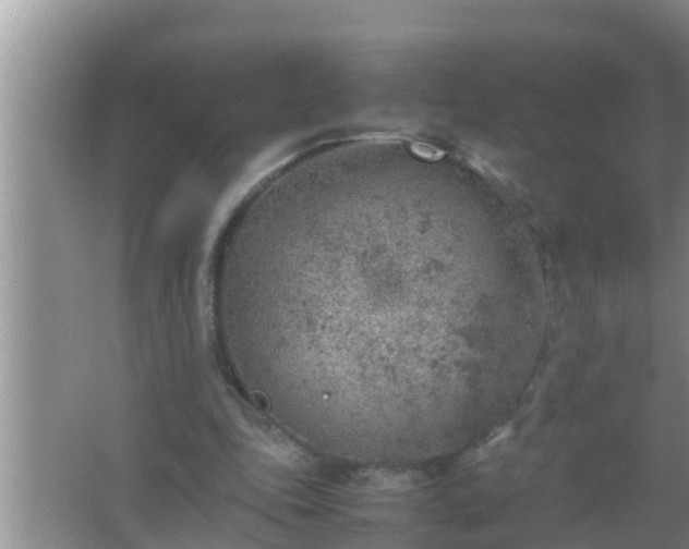 X0000067480343200604150022