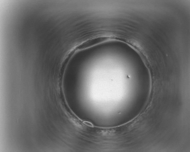 X0000067480345200604150022