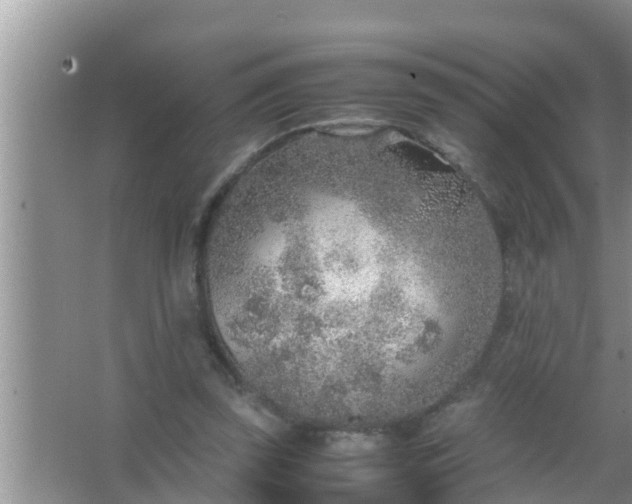 X0000067480347200604150022