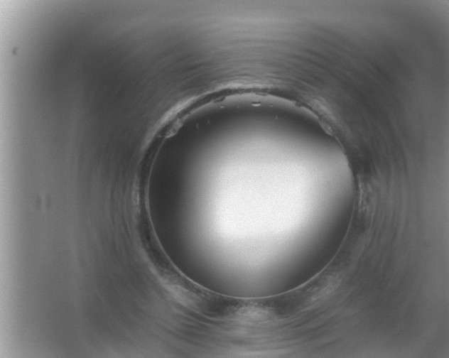 X0000067480348200604150022