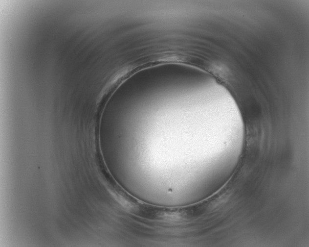 X0000067480349200604150022