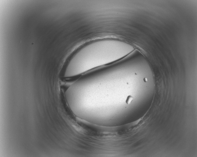 X0000067480350200604150022