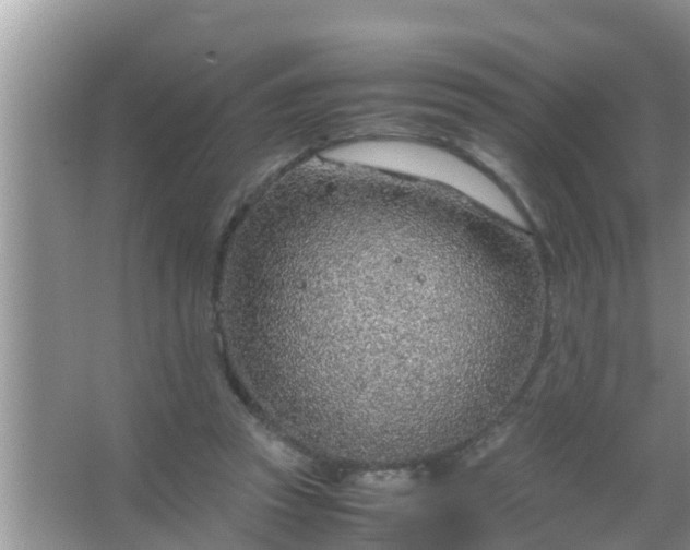 X0000067480353200604150022