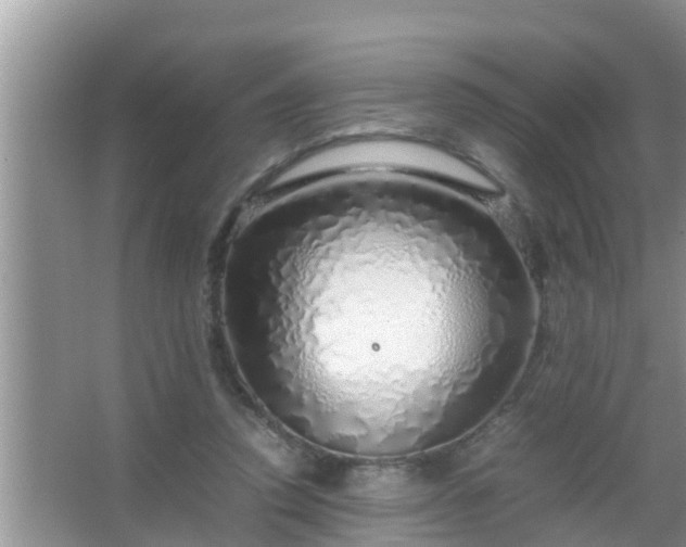 X0000067480354200604150022