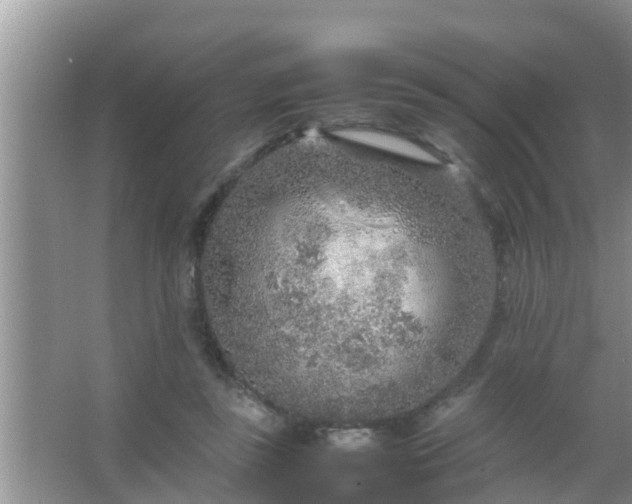 X0000067480355200604150022