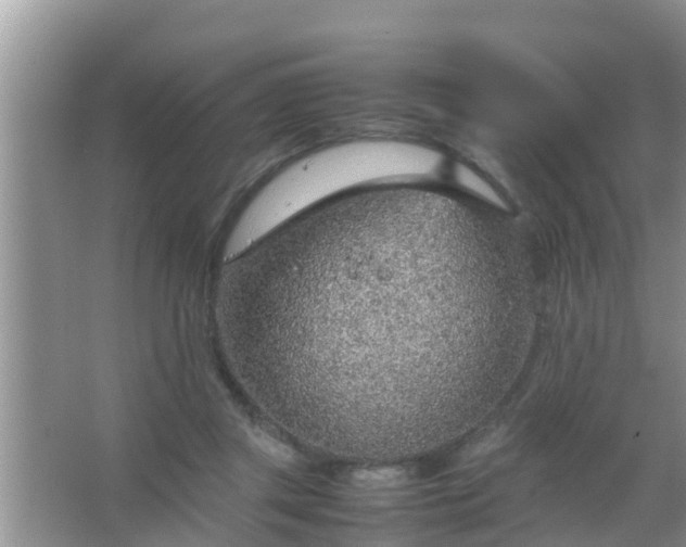 X0000067480357200604150022