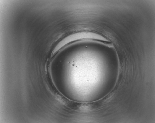 X0000067480358200604150022