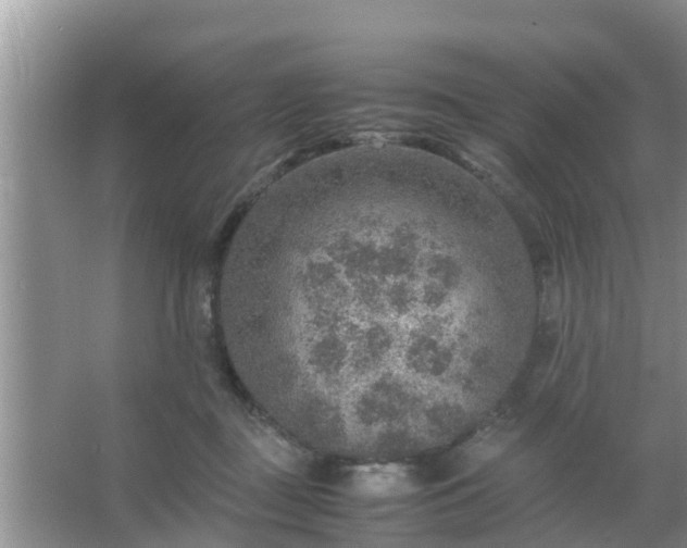 X0000067480363200604150022