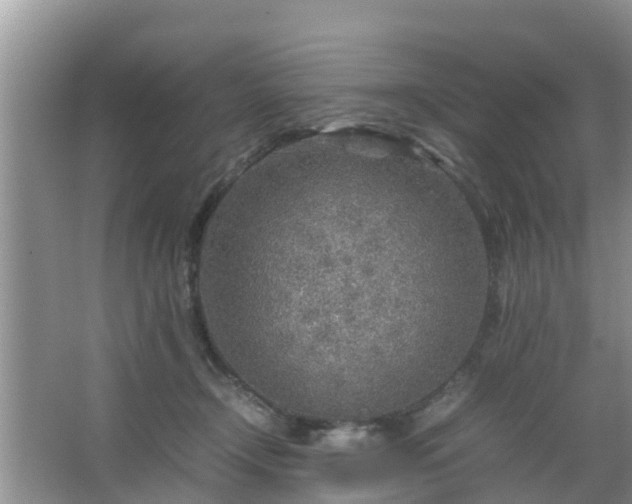 X0000067480366200604150022