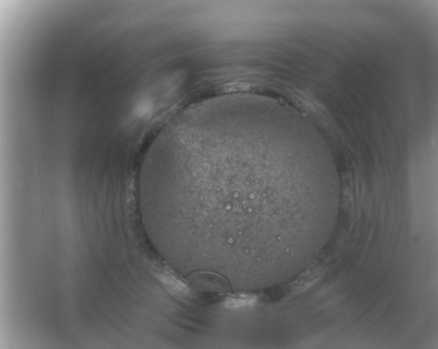 X0000067480369200604150022