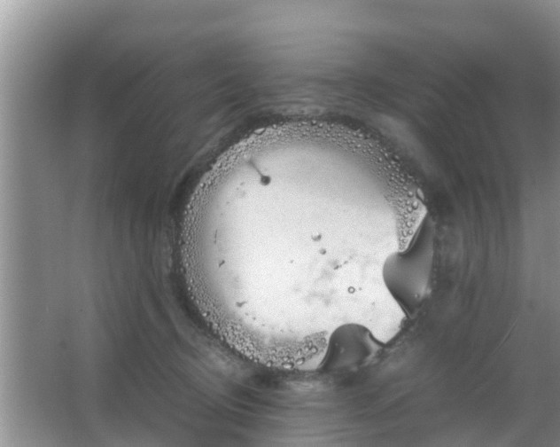 X0000067480370200604150022