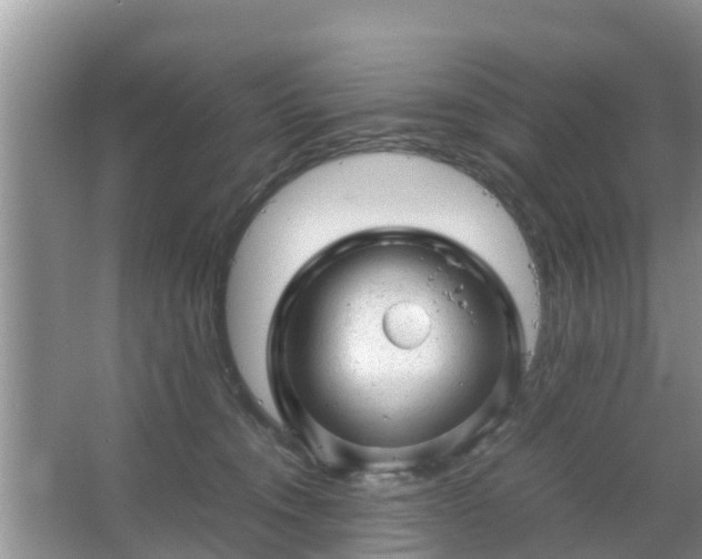 X0000067480372200604150022