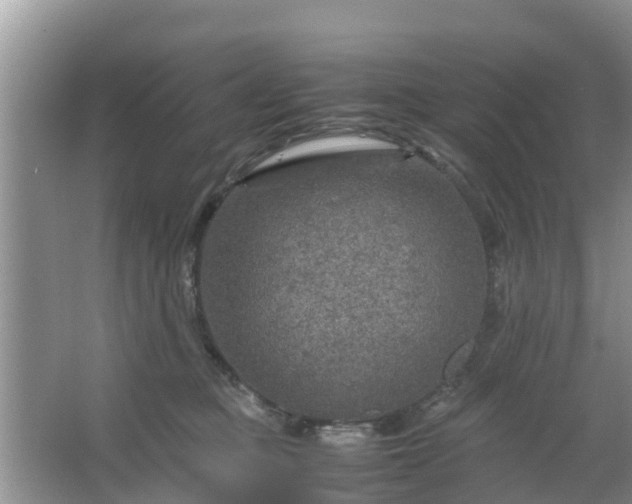 X0000067480373200604150022