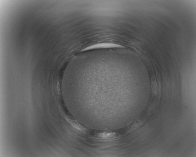 X0000067480375200604150022