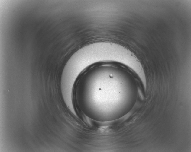 X0000067480376200604150022