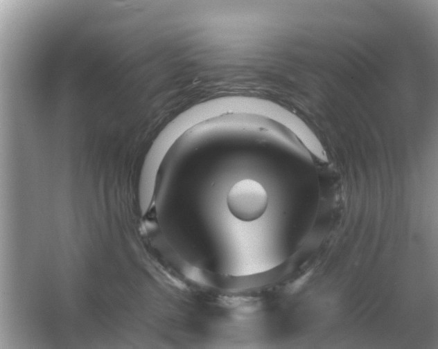 X0000067480380200604150022