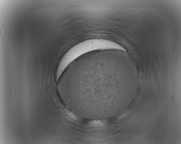 X0000067480381200604150022