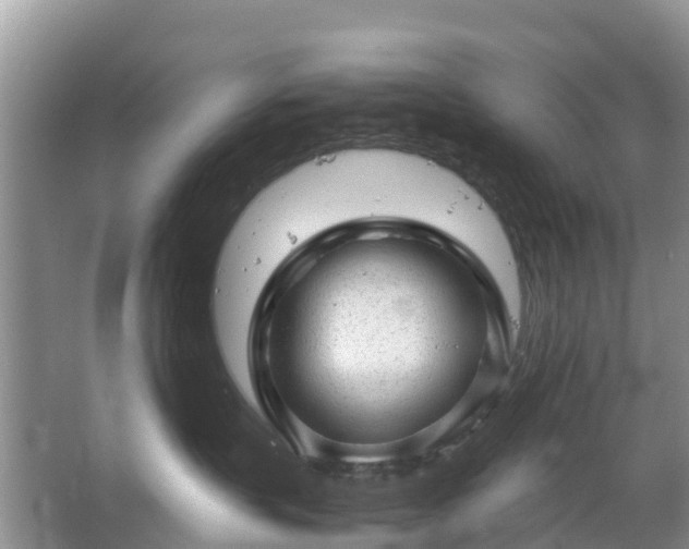 X0000067480383200604150022