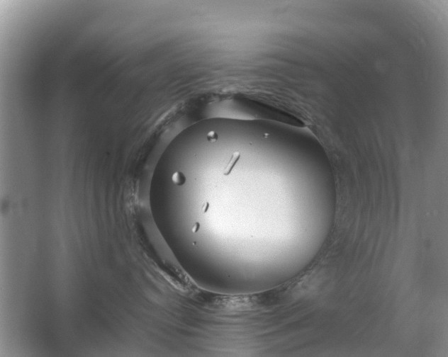 X0000067480384200604150022