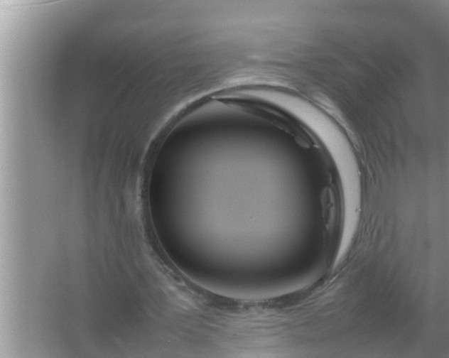 X0000067480387200604150021