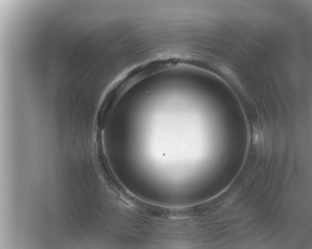 X0000067480388200604150021