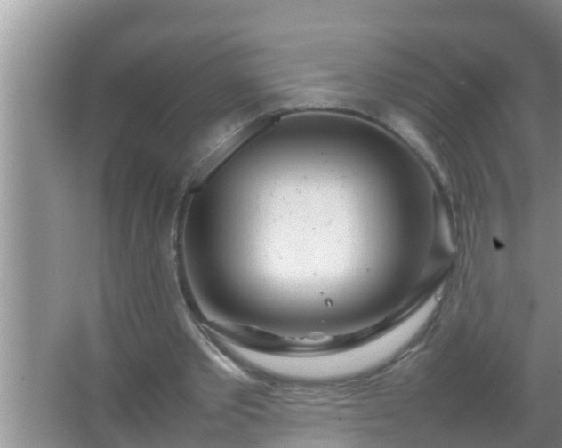 X0000067480389200604150021