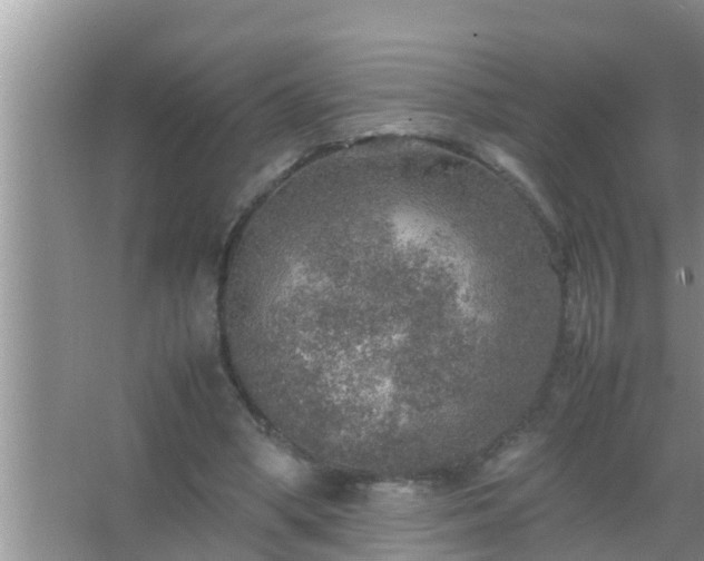 X0000067480394200604150021