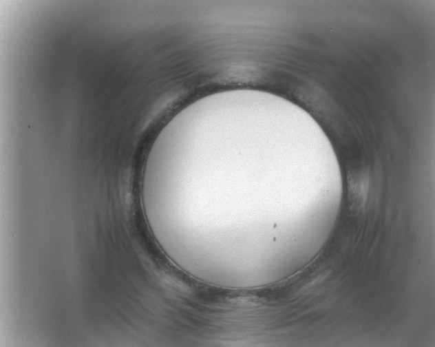 X0000067480396200604150021