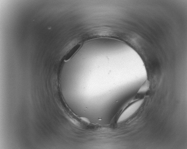 X0000067480397200604150021