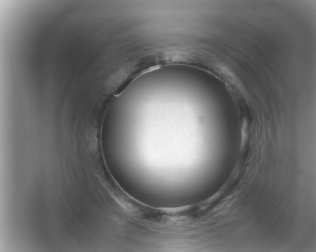 X0000067480401200604150021