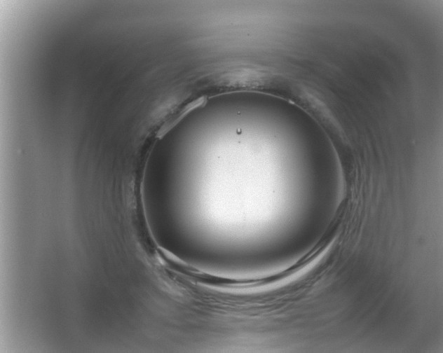 X0000067480403200604150021