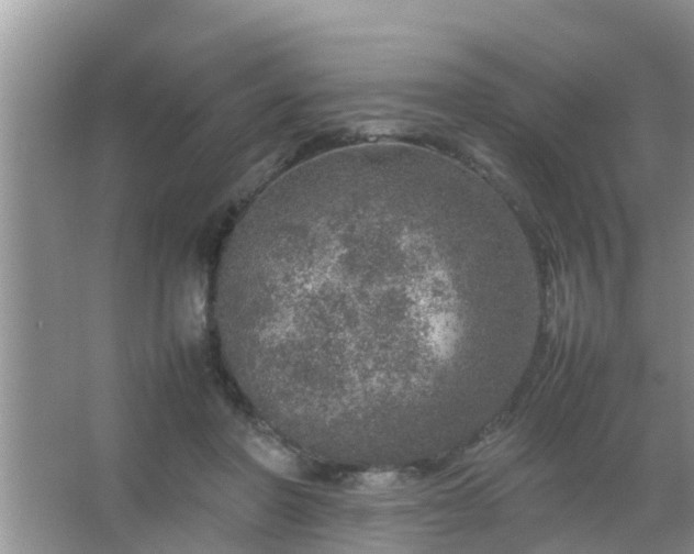 X0000067480406200604150021